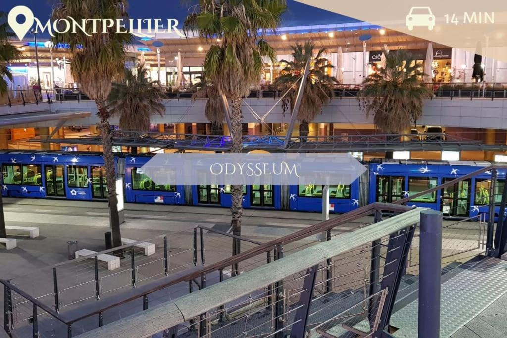 016- T2 Tropisme, Appart 1 Chambre,Clim,Wifi,Parking Montpellier Luaran gambar